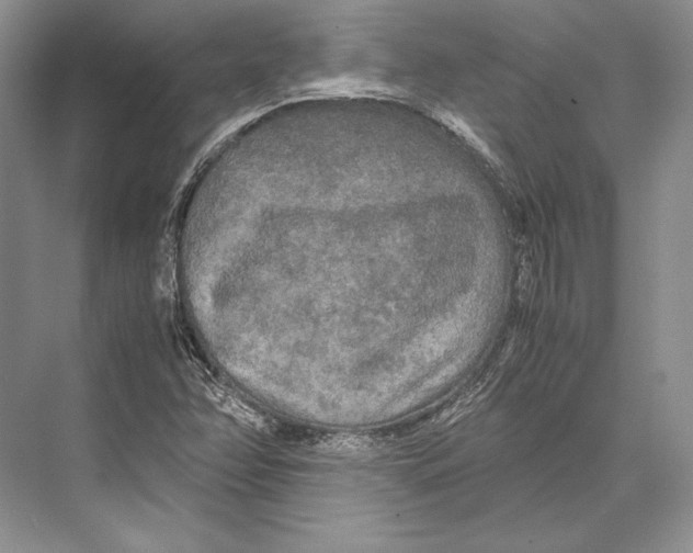 X0000072521358200608111709