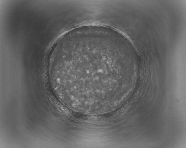 X0000072521359200608111709