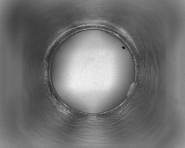 X0000072521360200608111709