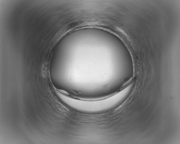 X0000072521361200608111709