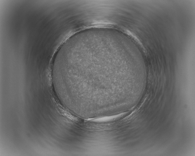 X0000072521362200608111709