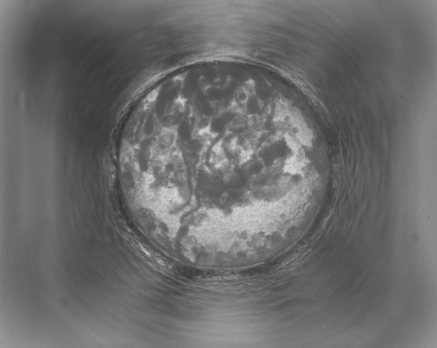 X0000072521363200608111709