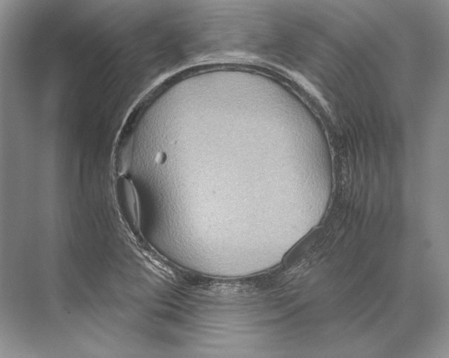 X0000072521364200608111709