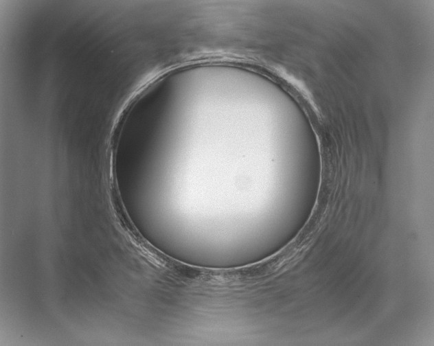 X0000072521365200608111709