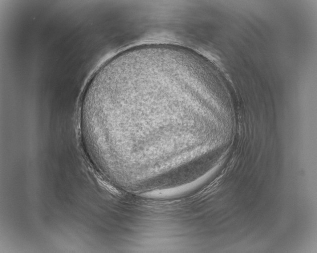 X0000072521366200608111709