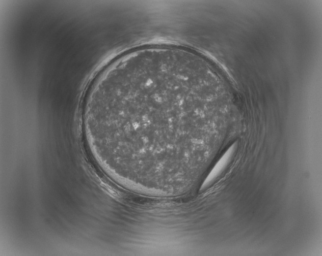 X0000072521367200608111709