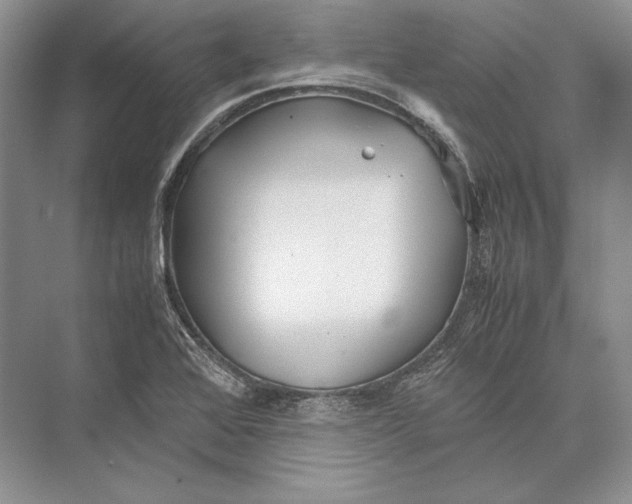 X0000072521368200608111709