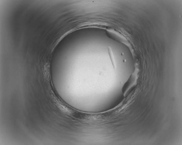 X0000072521369200608111709