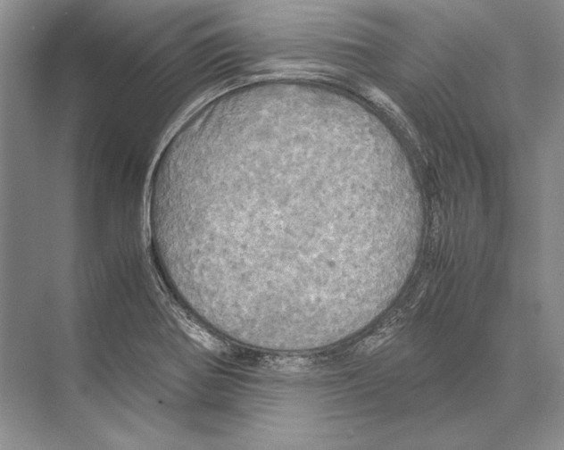 X0000072521370200608111709