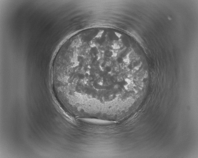 X0000072521371200608111709