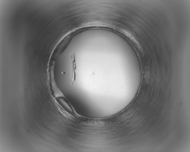 X0000072521372200608111709