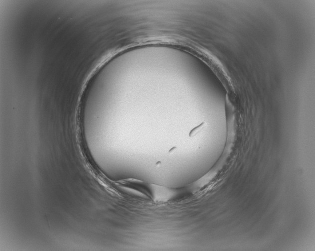 X0000072521373200608111709