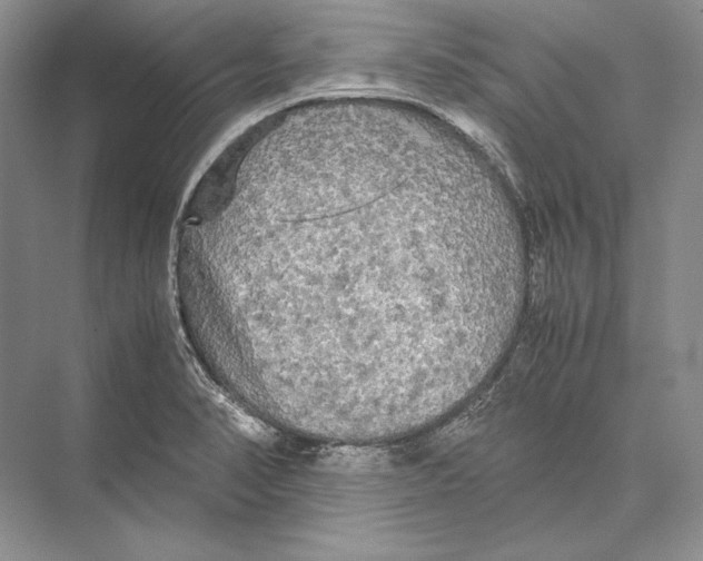 X0000072521374200608111709