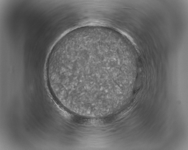 X0000072521375200608111709