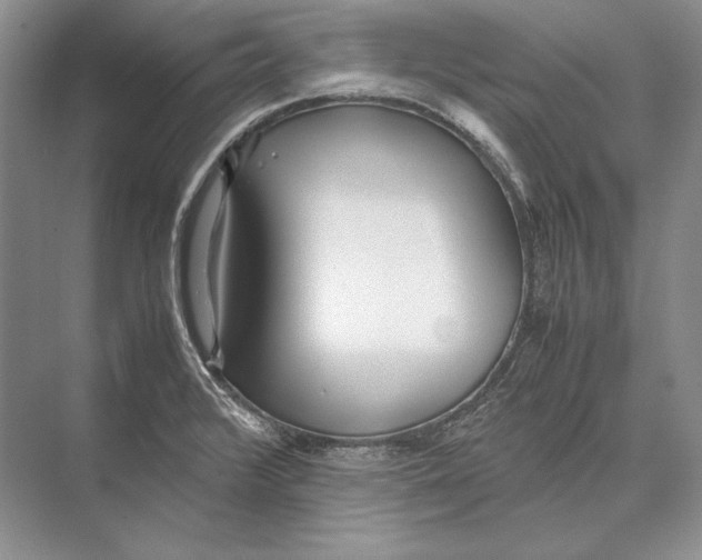 X0000072521376200608111709