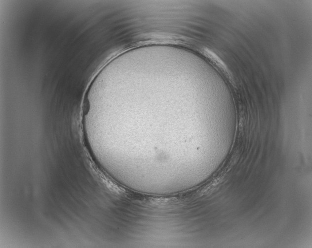 X0000072521378200608111709