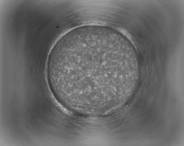 X0000072521379200608111709