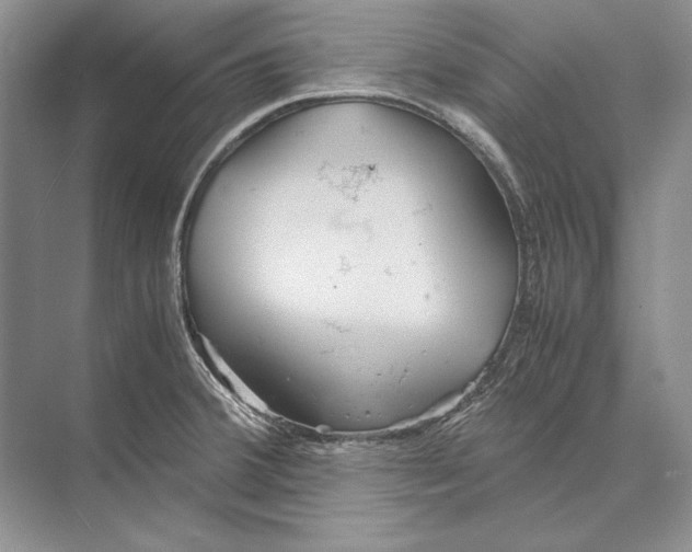 X0000072521380200608111709