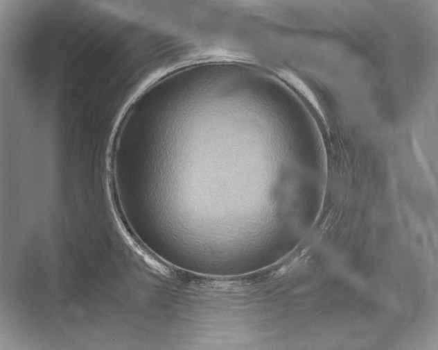 X0000072521381200608111709