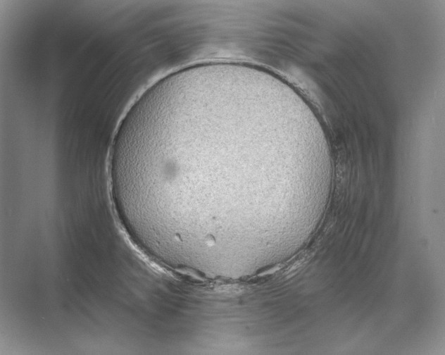 X0000072521382200608111709