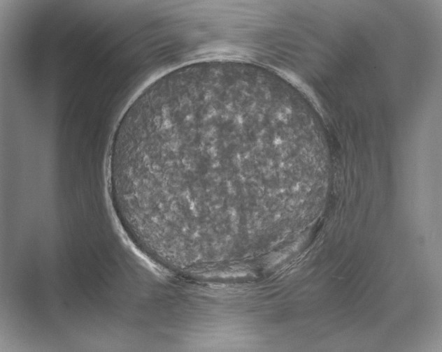 X0000072521383200608111709