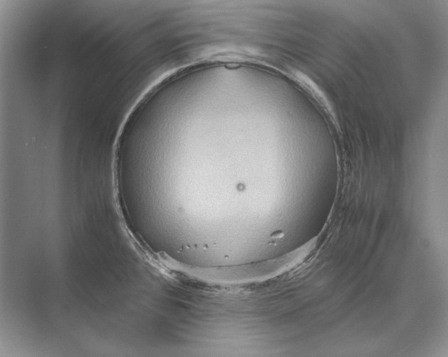 X0000072521384200608111709