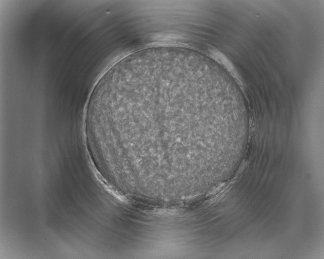 X0000072521386200608111709