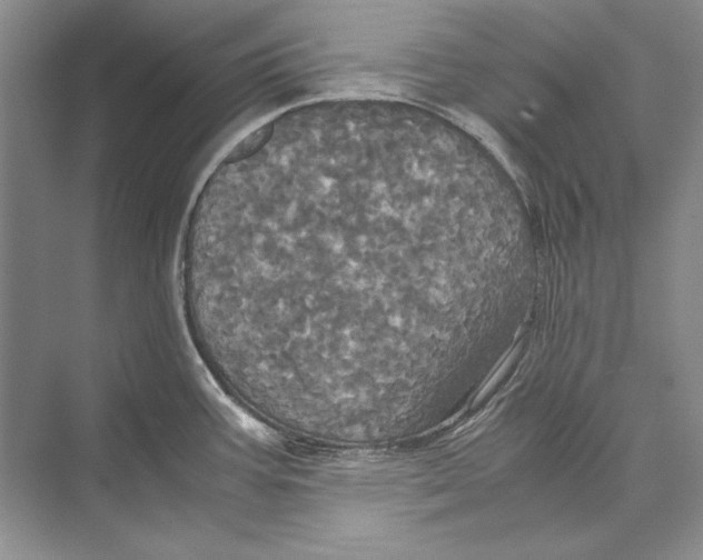 X0000072521387200608111709