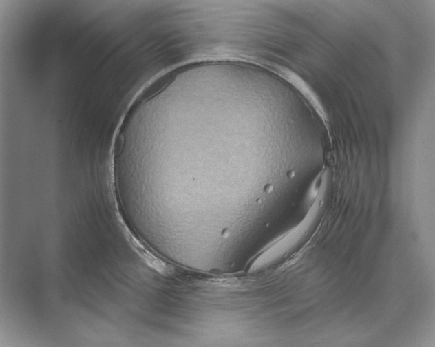 X0000072521388200608111709