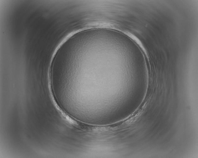 X0000072521389200608111709