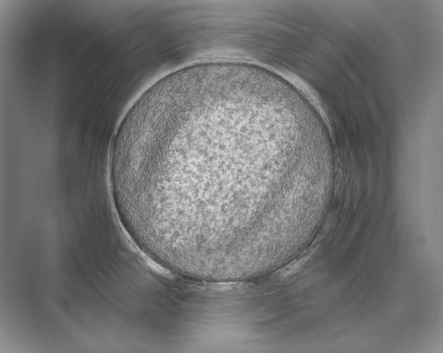 X0000072521390200608111709