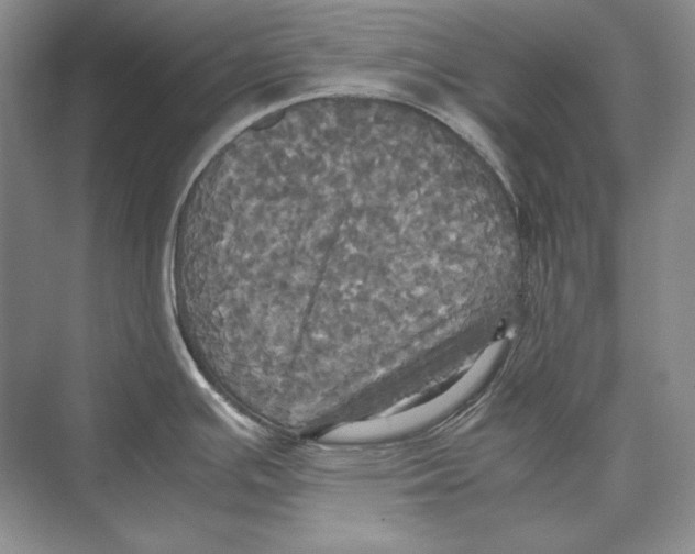 X0000072521391200608111709