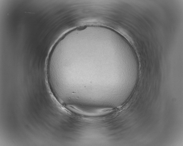 X0000072521392200608111709