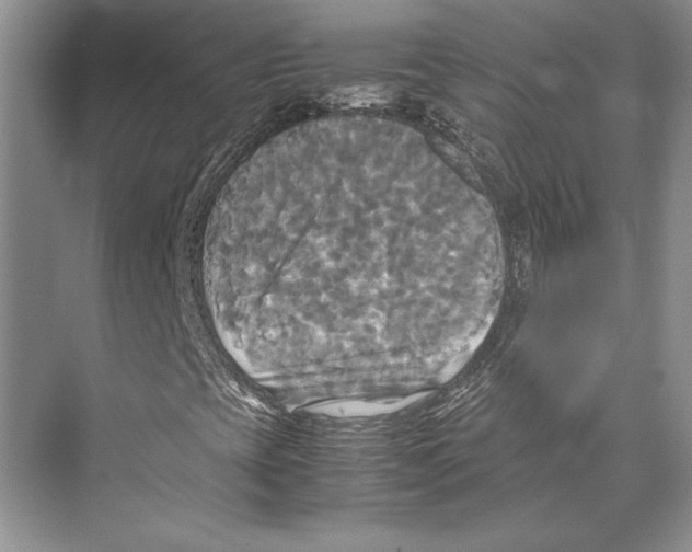 X0000072521393200608111708