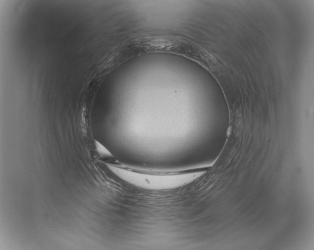 X0000072521394200608111708