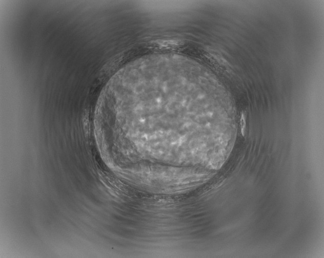 X0000072521395200608111708