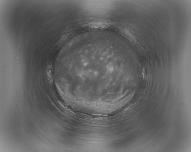 X0000072521396200608111708