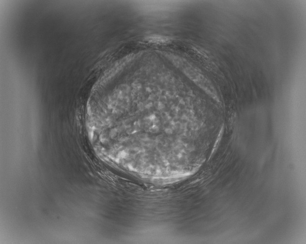 X0000072521397200608111708