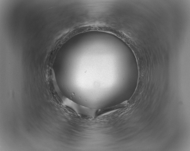 X0000072521398200608111708