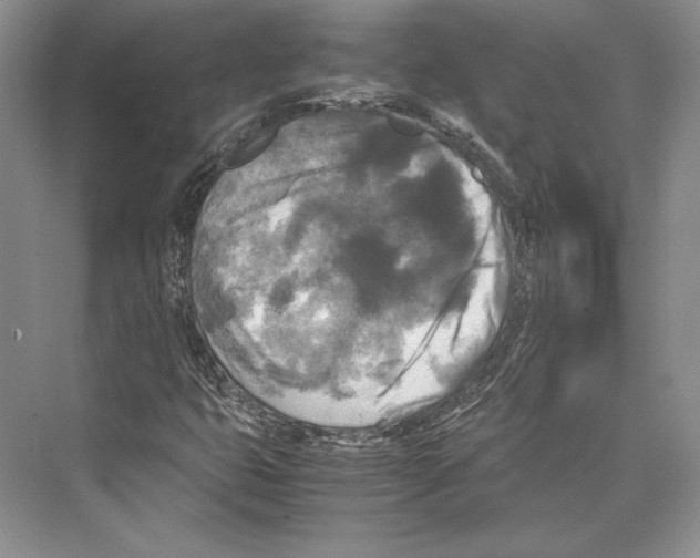 X0000072521399200608111708