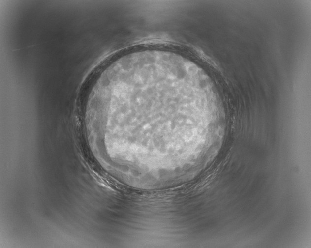 X0000072521400200608111708