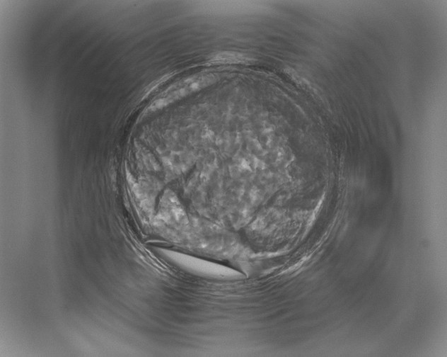 X0000072521401200608111708