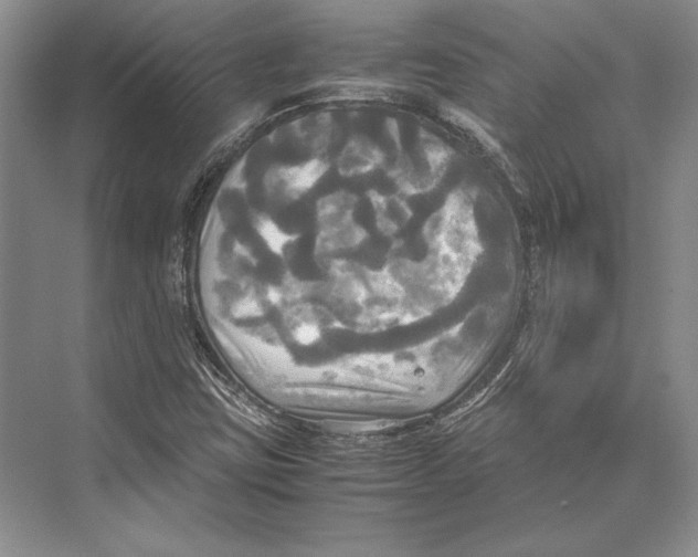 X0000072521403200608111708