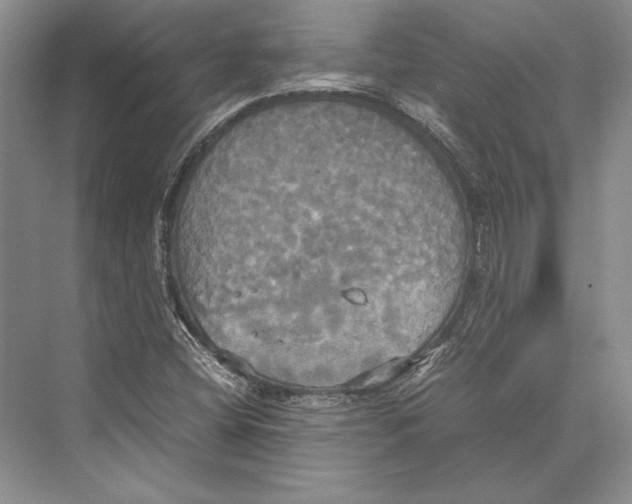 X0000072521404200608111708