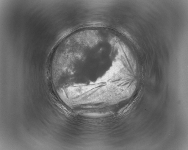 X0000072521405200608111708