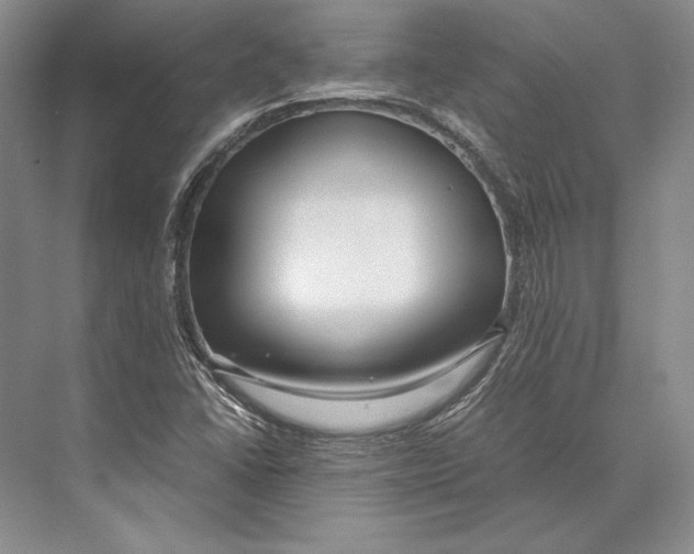 X0000072521406200608111708