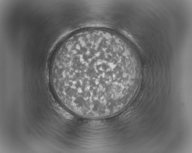 X0000072521408200608111708