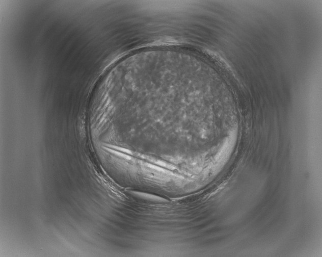 X0000072521409200608111708