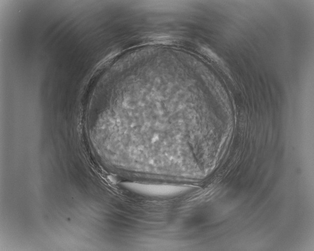 X0000072521411200608111708