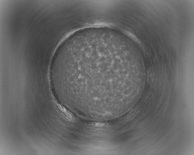 X0000072521412200608111708